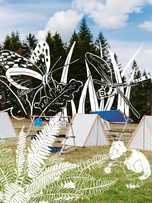 A scenic campsite with white tents is set up on a grassy field surrounded by trees. The sky is blue with scattered clouds. White illustrations of insects and a small animal are superimposed on the image, creating a whimsical atmosphere.