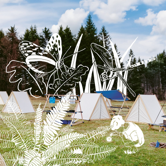 A scenic campsite with white tents is set up on a grassy field surrounded by trees. The sky is blue with scattered clouds. White illustrations of insects and a small animal are superimposed on the image, creating a whimsical atmosphere.