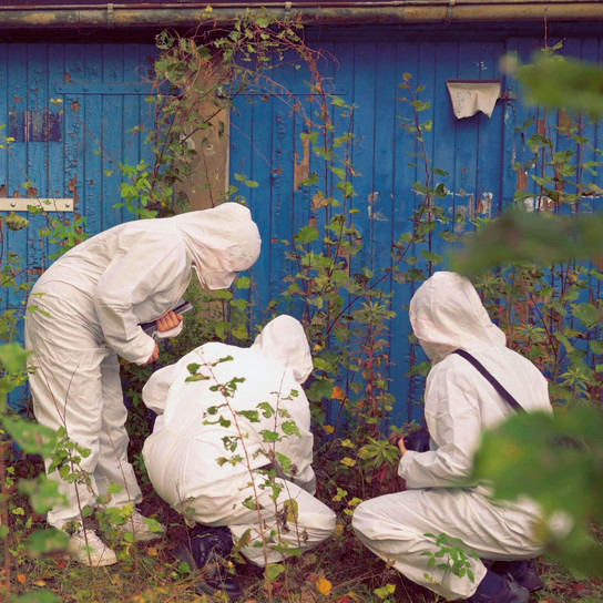 Vier Personen in weißen Schutzanzügen untersuchen Pflanzen in einem Gartenbereich. Sie stehen in der Nähe einer blauen Holzwand, umgeben von grünem Laub, und scheinen sich auf etwas in der Vegetation zu konzentrieren.