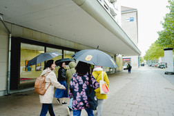 A group of people walk along a pavement on a rainy day with black umbrellas. Most are wearing jackets or mackintoshes, and trees line the street under a cloudy sky.