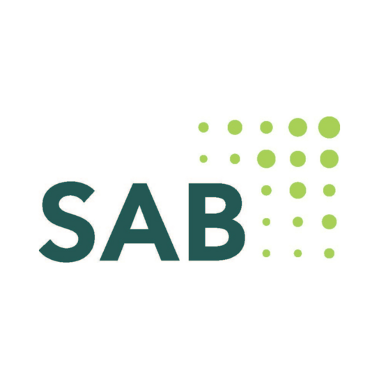 Das Bild zeigt links ein Logo mit dem Text „SAB“ in fetten, dunkelgrünen Buchstaben. Rechts neben dem Text befindet sich ein Muster aus kleinen, hellgrünen Punkten, die in einem Raster angeordnet sind, das eine quadratische Form bildet. Der Hintergrund ist weiß.